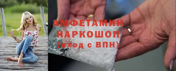 шишки Алексин