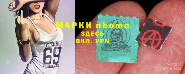 шишки Алексин